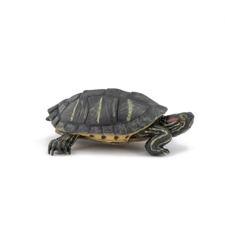 PAPO FIGURINA TESTOASA DIN FLORIDA