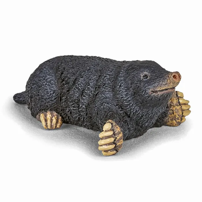 PAPO - Figurina Cartita